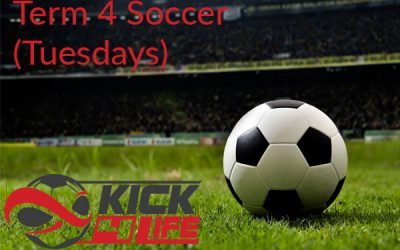 Term 4 soccer @ South Yarra SC (Tuesdays)